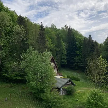 Bb Z Widokiem Na Krynice *